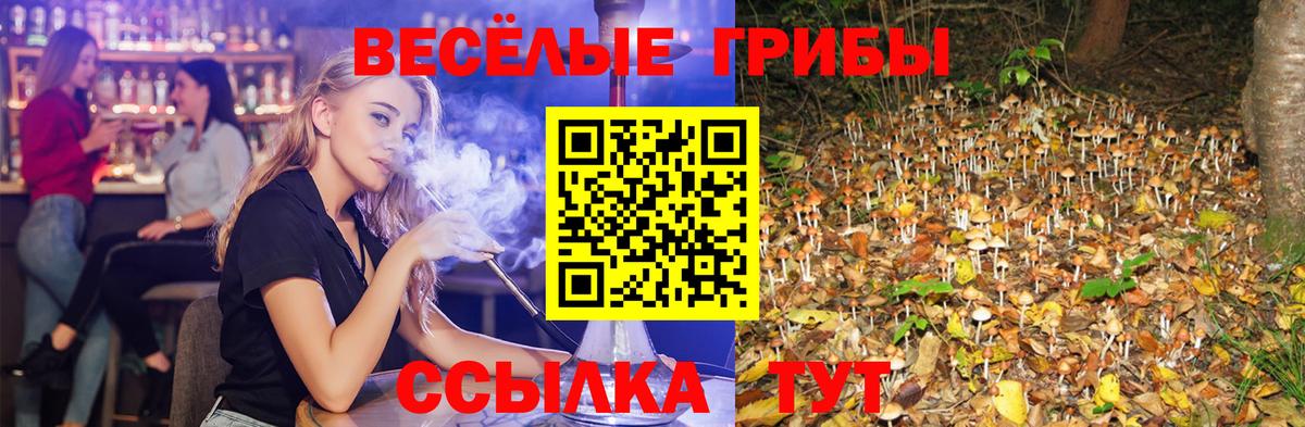 Татарск  Галлюциногенные грибы MAGIC MUSHROOMS  Вход с VPN 