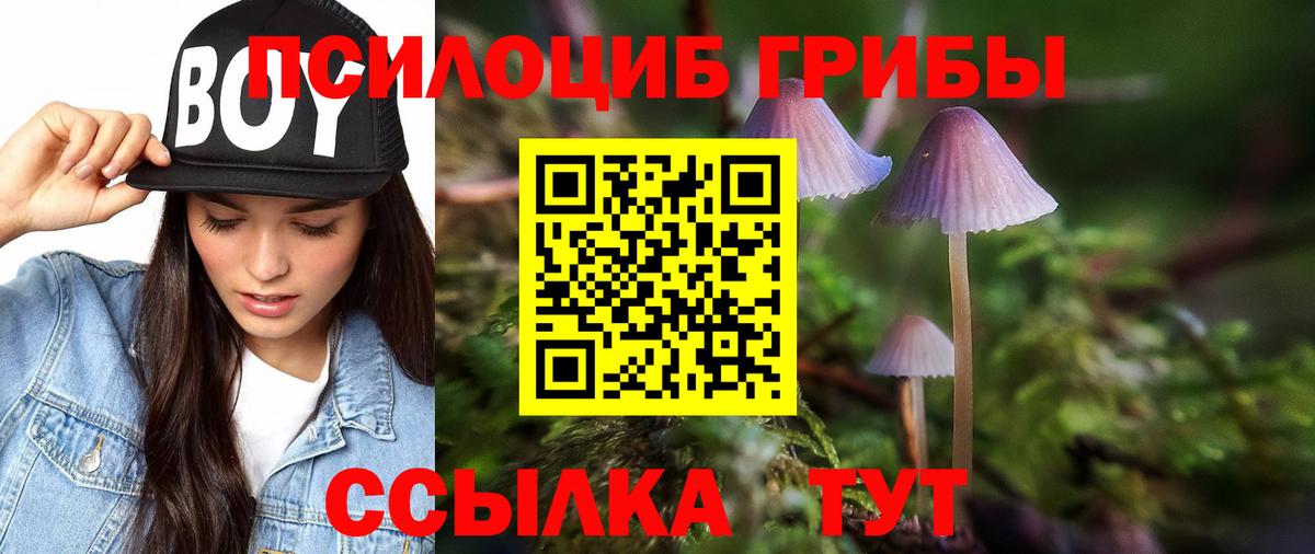 Псилоцибиновые грибы ЛСД Татарск